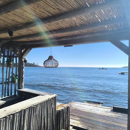 Maison En Pierre Avec Piscine Chauffee A Muratello Villa